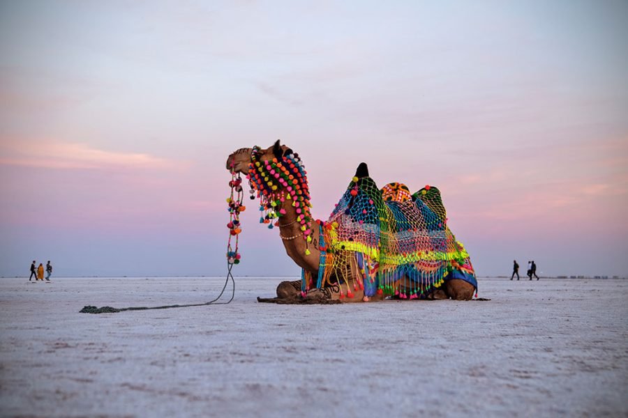 Rann Utsav-1