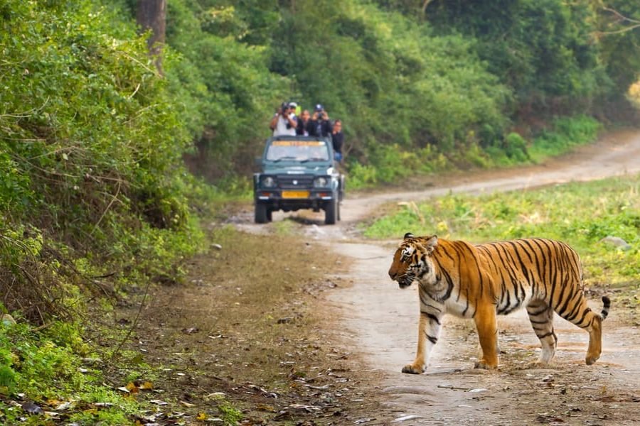 Nainital Corbett