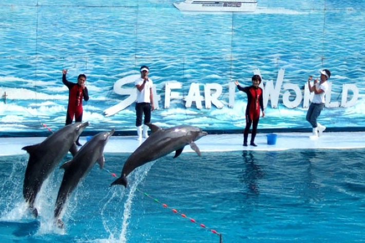 <span style="padding-left: 8px"><i class="far fa-calendar-alt"></i>  DAY 6</span>-  Safari World & Marina Park