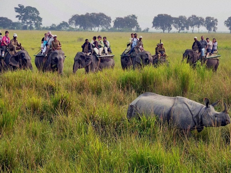 <span style="padding-left: 8px"><i class="far fa-calendar-alt"></i>  DAY 5</span>- Kaziranga safari