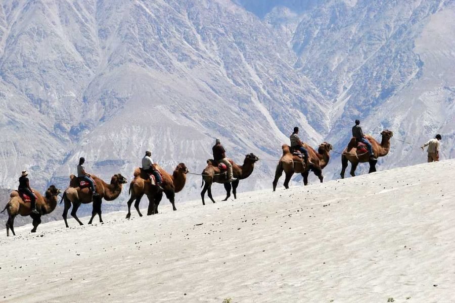 Enchanting Ladakh