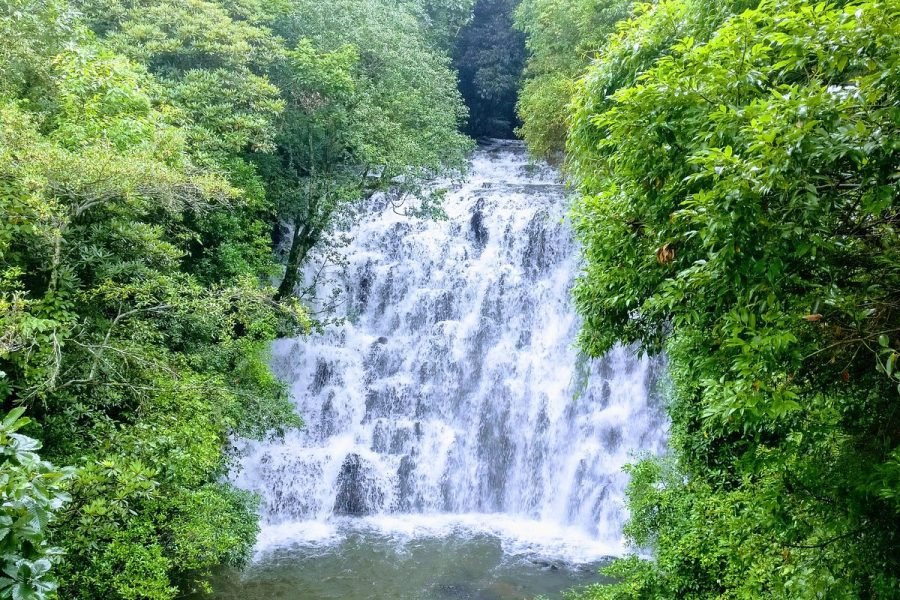 Mesmerising Meghalaya