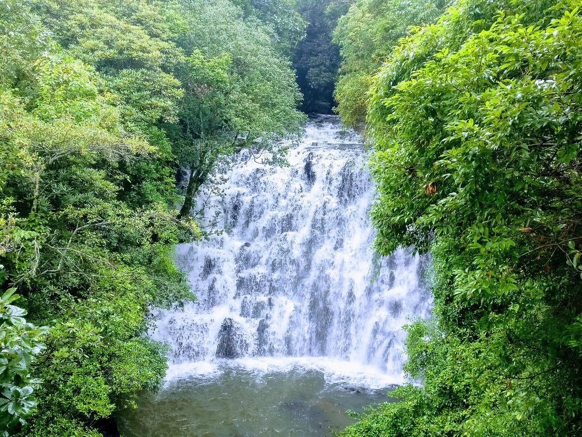 <span style="padding-left: 8px"><i class="far fa-calendar-alt"></i>  DAY 2</span>-Excursion to  Cherrapunjee 