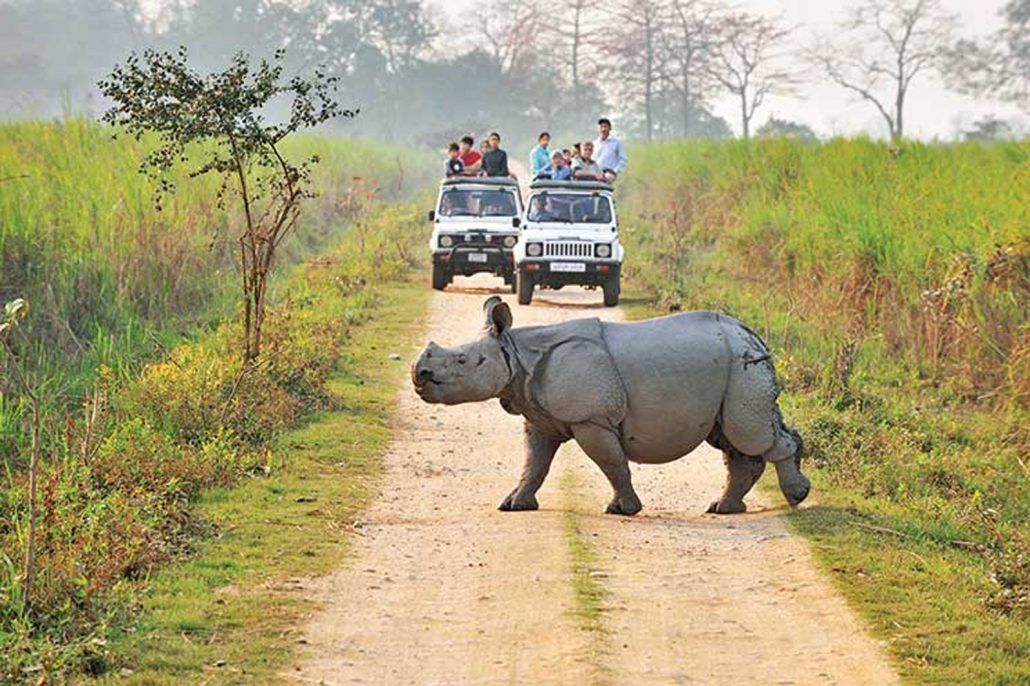 <span style="padding-left: 8px"><i class="far fa-calendar-alt"></i>  DAY 2</span>- Kaziranga National Park