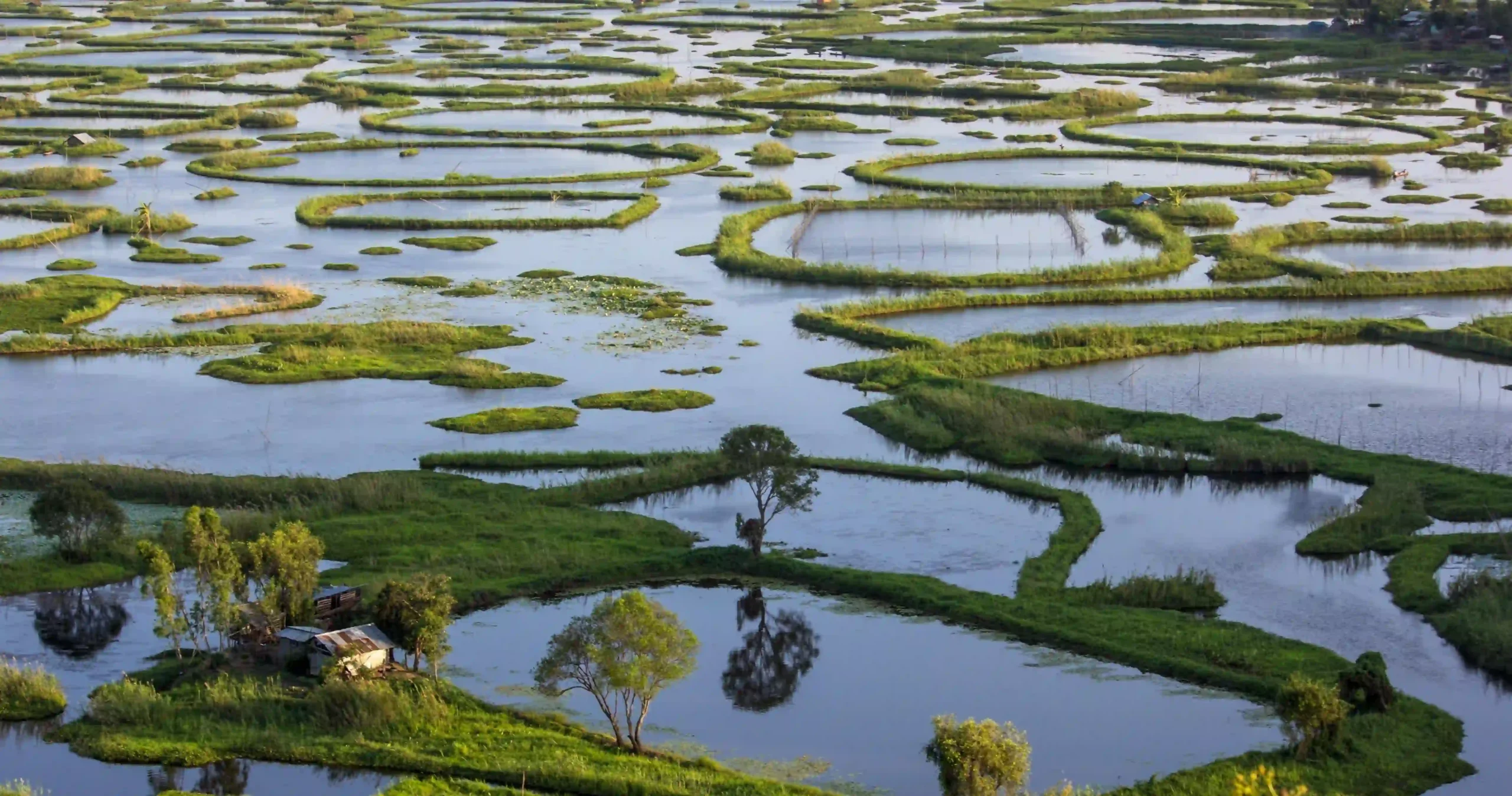 <span style="padding-left: 8px"><i class="far fa-calendar-alt"></i>  DAY 6</span>- Excursion to Loktak Lake