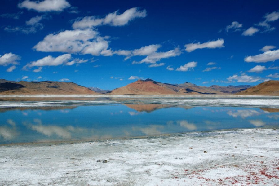 Royal Ladakh