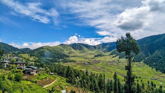 <span style="padding-left: 8px"><i class="far fa-calendar-alt"></i>  DAY 5</span>-  Punakha Sightseeing